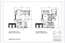 The Colonnade (D10), Condominium #556580551